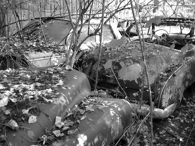 Autofriedhof - 174.JPG - Historischer Autofriedhof,    Gürbetal (CH)